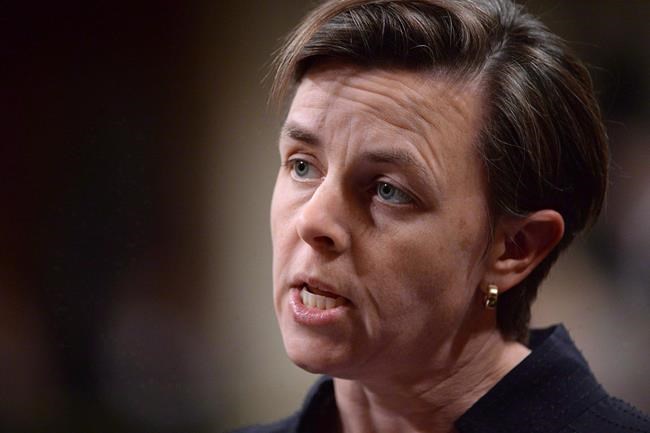 Leitch campaign goading rivals to step into values debate | iNFOnews.ca