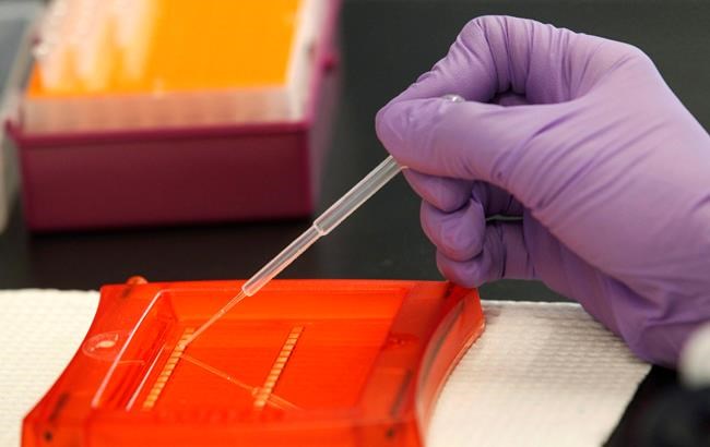 Life insurers' new genetic test policy called an 11th-hour stalling attempt | iNFOnews.ca Life insurers' new genetic test policy called an 11th-hour stalling attempt | iNFOnews.ca