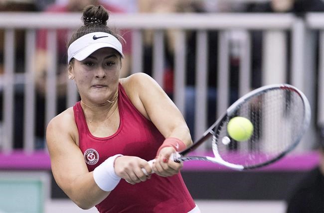 Canadians Andreescu, Polansky off to final round of French Open qualifying | iNFOnews.ca