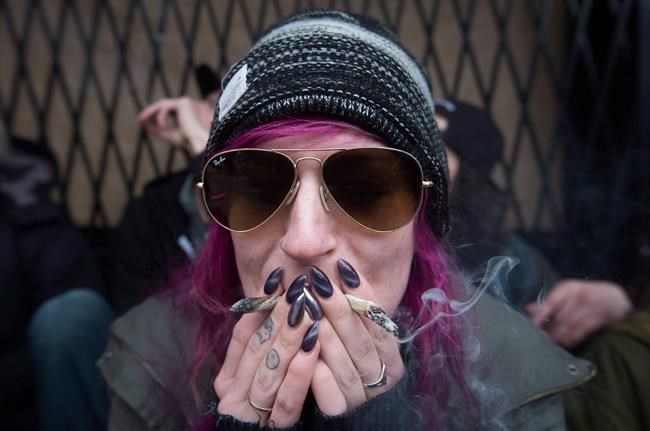 Toronto company offers cash to 'cannabis connoisseurs' to smoke marijuana | iNFOnews.ca Toronto company offers cash to 'cannabis connoisseurs' to smoke marijuana | iNFOnews.ca