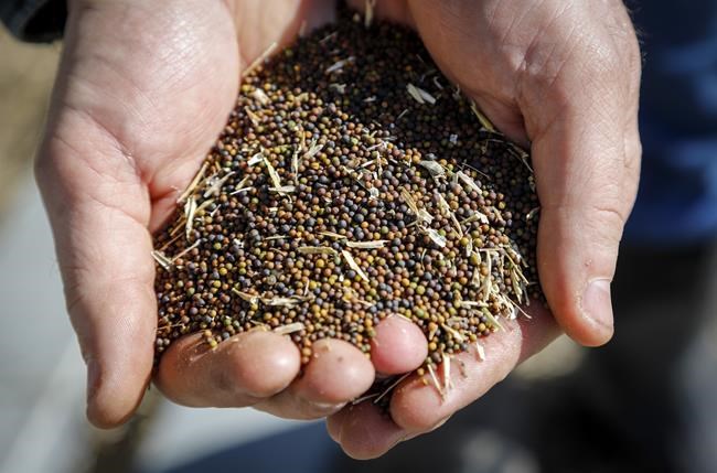 Farmers demand strong political response to expanding trade obstacles for Canada | iNFOnews.ca