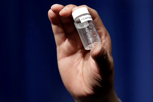 Almost 14,000 Canadians killed by opioids since 2016: new national study | iNFOnews.ca