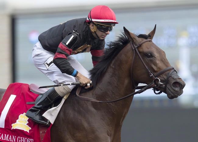 Trainer Jimmy Jerkens has '15 Queen's Plate winner Shaman Ghost on nice roll | iNFOnews.ca