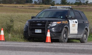 Man arrested in shooting death of businessman bred dogs for victim | iNFOnews.ca CP29989638