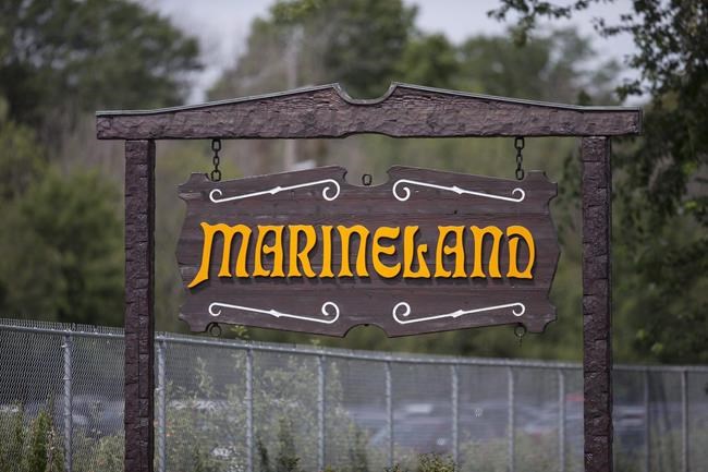 Marineland sues OSPCA, alleging agency wanted to 'destroy' theme park | iNFOnews.ca