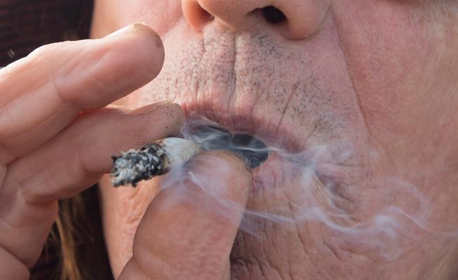 New statistics point to increases in pot, cigarette smoking | iNFOnews.ca