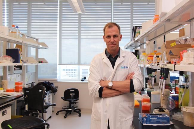 'Barcoding' brain cancer cells helps untangle complexity, points to treatment targets | iNFOnews.ca