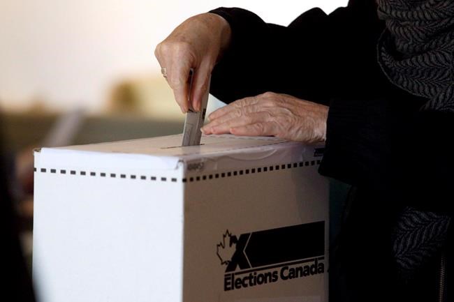 Elections Canada suggests voter contact registry for 'bot' users on social media | iNFOnews.ca
