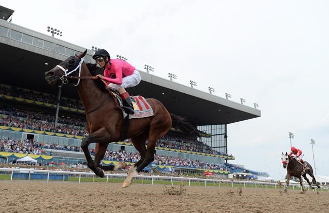 Filly Wonder Gadot to skip running for Canadian Triple Crown title | iNFOnews.ca