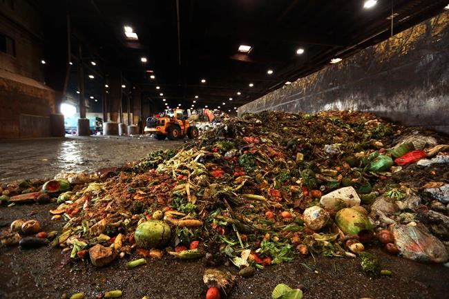Five meals a week: Scientists audit garbage to assess household food waste | iNFOnews.ca CP1157196501