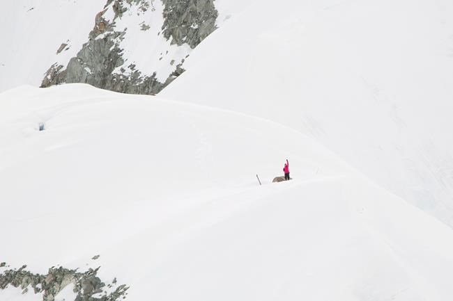 Solo climber stranded on Yukon's Mount Logan rescued | iNFOnews.ca