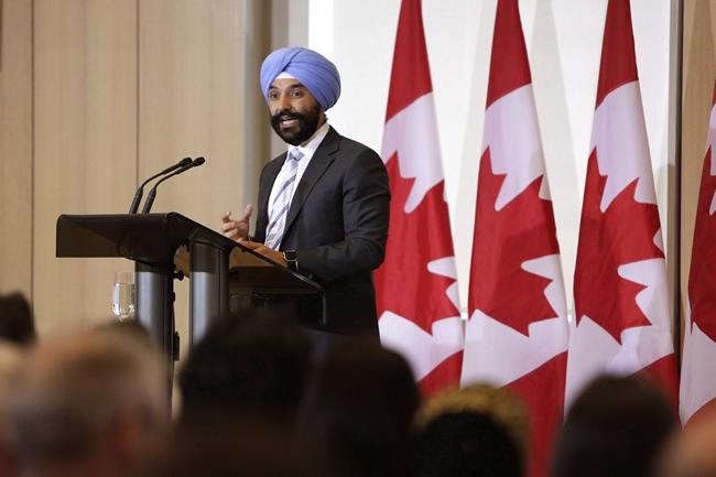 New space strategy to be unveiled 'in the coming months': Bains | iNFOnews.ca