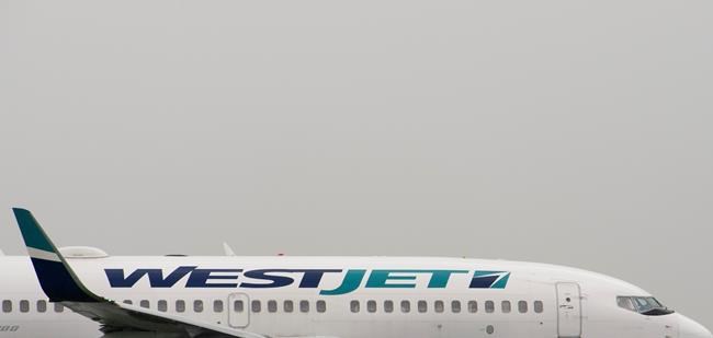 Transportation watchdog launches inquiry after WestJet bumps passengers | iNFOnews.ca Transportation watchdog launches inquiry after WestJet bumps passengers | iNFOnews.ca