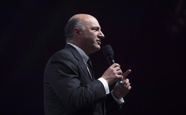 Kevin O'Leary won't comment on 'swirling' rumours he'll join Tory race Wednesday | iNFOnews.ca