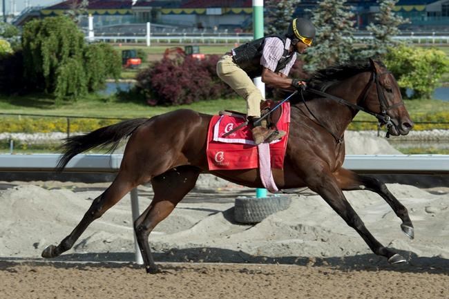 Trainer Mark Casse sending three strong horses to $1-million Queen's Plate | iNFOnews.ca