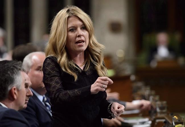 Baloney Meter: Are a majority of asylum seekers to Canada doomed to rejection? | iNFOnews.ca