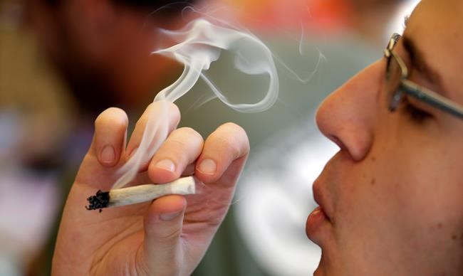 Kids exposed to pot through second-hand smoke or edibles at risk for adverse effects | iNFOnews.ca Kids exposed to pot through second-hand smoke or edibles at risk for adverse effects | iNFOnews.ca