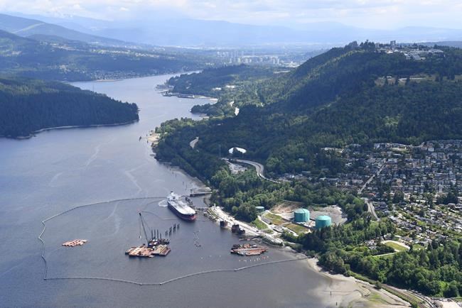 Conservationists file legal challenge to Trans Mountain reapproval over whales | iNFOnews.ca Conservationists file legal challenge to Trans Mountain reapproval over whales | iNFOnews.ca