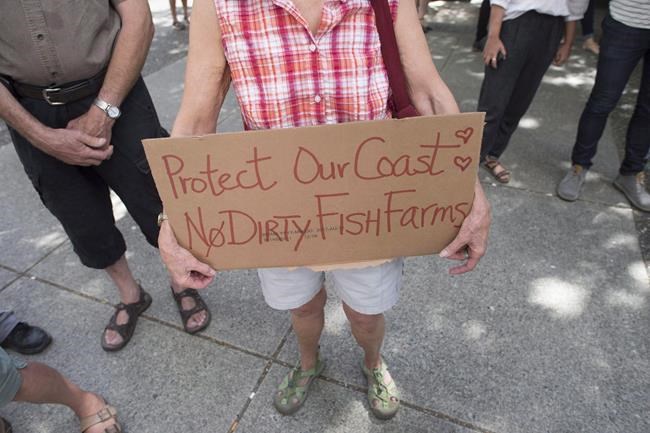 B.C. premier appoints top deputy to review 'integrity' of fish farm testing lab | iNFOnews.ca CP651655791