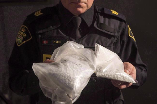 Toronto police warn of dangerous narcotics after 7 fatal overdoses since Aug. 2 | iNFOnews.ca Toronto police warn of dangerous narcotics after 7 fatal overdoses since Aug. 2 | iNFOnews.ca