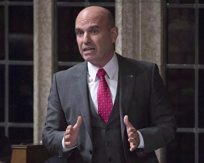 MPs need to consult women, social media companies about online behaviour: Cullen | iNFOnews.ca