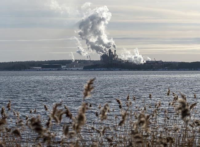 Northern Pulp workers finish final shifts as plant put in 'hibernation' | iNFOnews.ca Northern Pulp workers finish final shifts as plant put in 'hibernation' | iNFOnews.ca