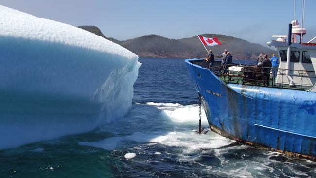 Vodka company CEO scratching his head over Newfoundland iceberg water heist | iNFOnews.ca Vodka company CEO scratching his head over Newfoundland iceberg water heist | iNFOnews.ca