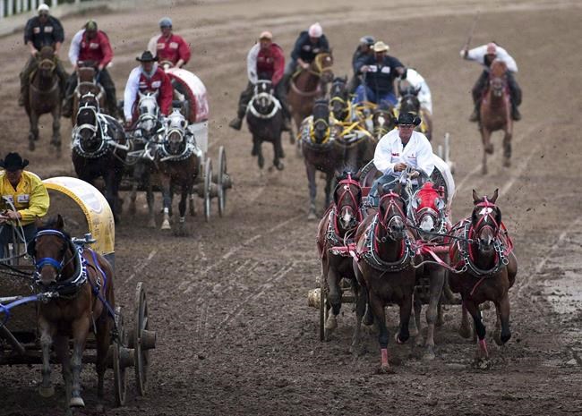 'Baywatch' star Pamela Anderson calls on Alberta premier to end chuckwagon races | iNFOnews.ca 'Baywatch' star Pamela Anderson calls on Alberta premier to end chuckwagon races | iNFOnews.ca