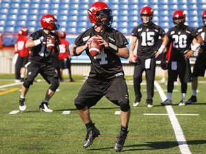 Calgary Stampeders open 2014 healthier because of McMahon's new turf | iNFOnews.ca CP28911996