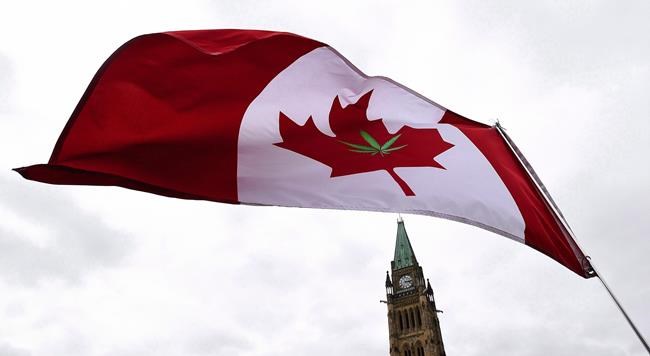 Senate deal to vote on pot bill on June 7 means no actual sales before August | iNFOnews.ca