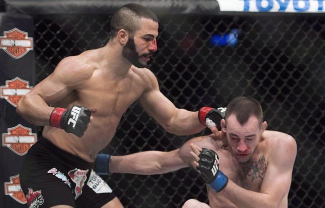 Canadian lightweight John (The Bull) Makdessi added to UFC 241 card | iNFOnews.ca