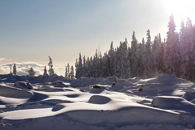 Snow storm left dozens stranded at Vancouver Island ski resort | iNFOnews.ca CP63723006