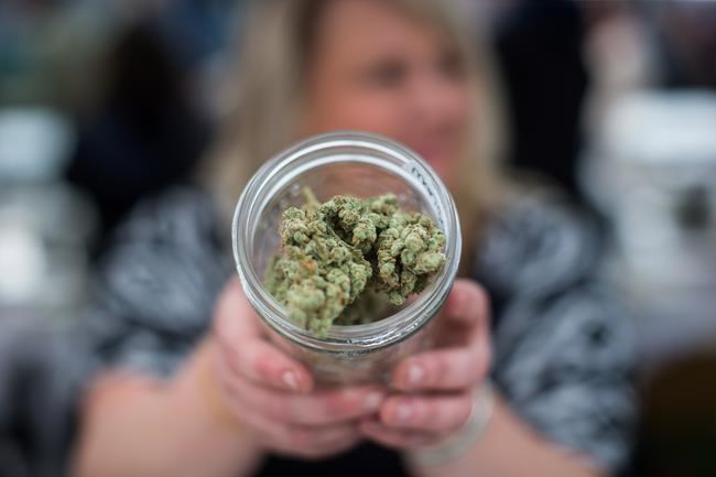 Undisclosed company wins POT stock ticker lottery, says TMX Group | iNFOnews.ca Undisclosed company wins POT stock ticker lottery, says TMX Group | iNFOnews.ca