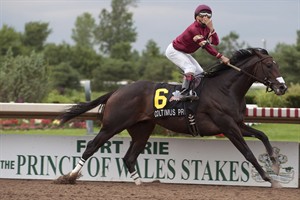 Coltimus Prime goes wire-to-wire to capture Prince of Wales Stakes event | iNFOnews.ca CP29311114