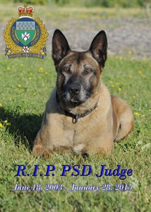 Winnipeg Police mourn death of top service dog involved in more than 500 arrests | iNFOnews.ca Winnipeg Police mourn death of top service dog involved in more than 500 arrests | iNFOnews.ca
