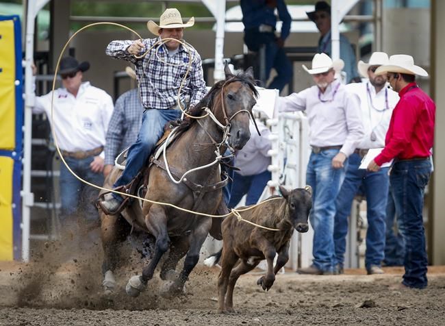 'Saddened' - Calgary Stampede temporarily lays off 80 per cent of workforce | iNFOnews.ca