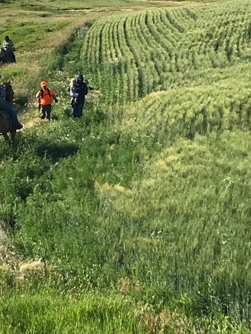 'He started giggling': Searchers rescue toddler from trench in Saskatchewan | iNFOnews.ca 'He started giggling': Searchers rescue toddler from trench in Saskatchewan | iNFOnews.ca