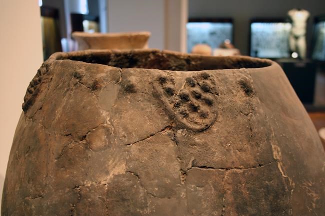 Canadians among researchers to find earliest evidence of winemaking in the world | iNFOnews.ca Canadians among researchers to find earliest evidence of winemaking in the world | iNFOnews.ca