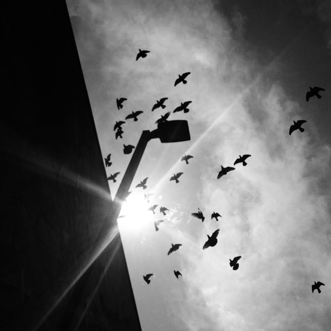 Photo project focuses on Indigenous youth and reconciliation | iNFOnews.ca