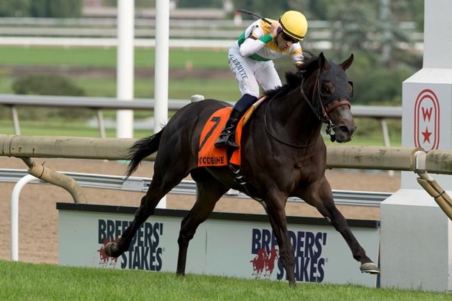 Neepawa surges to wire-to-wire victory in Breeders' Stakes | iNFOnews.ca Neepawa surges to wire-to-wire victory in Breeders' Stakes | iNFOnews.ca