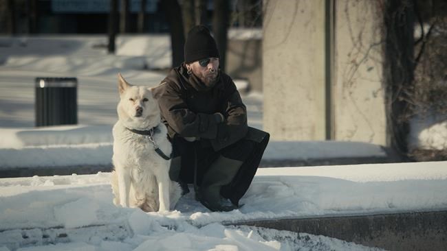 Documentary explores the bond between the homeless and their devoted pets | iNFOnews.ca