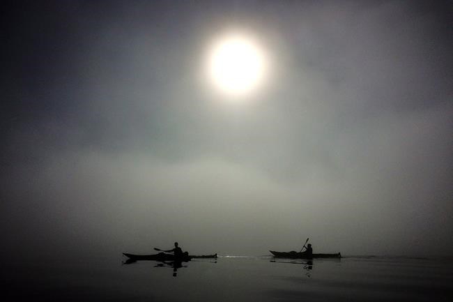 Kayak in Indian Arm waters off of B.C.'s Deep Cove and feast on famous doughnuts | iNFOnews.ca Kayak in Indian Arm waters off of B.C.'s Deep Cove and feast on famous doughnuts | iNFOnews.ca