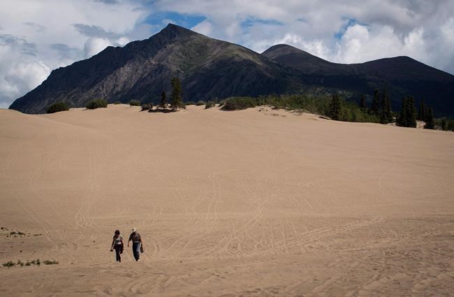 Scientists call for stop to disappearance of Earth's remaining intact land, sea | iNFOnews.ca