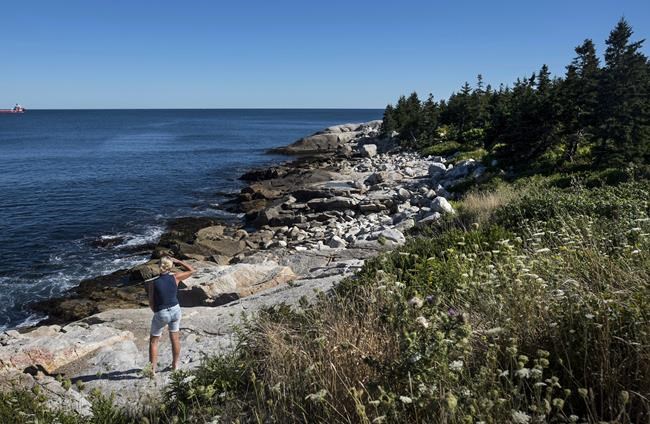 Buildings, coastlines, northerners: Report identifies top Canadian climate risks | iNFOnews.ca