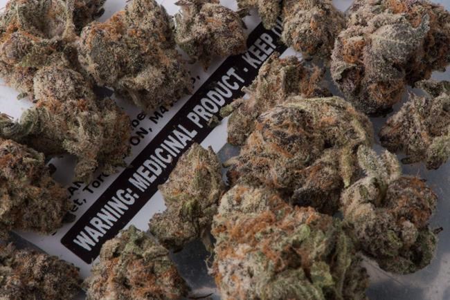Two-thirds of current pot users will switch to legal retailers, survey suggests | iNFOnews.ca Two-thirds of current pot users will switch to legal retailers, survey suggests | iNFOnews.ca