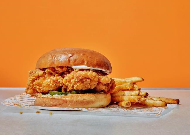 Popeyes pilots chicken sandwich in Edmonton despite COVID-19 pandemic | iNFOnews.ca Popeyes pilots chicken sandwich in Edmonton despite COVID-19 pandemic | iNFOnews.ca
