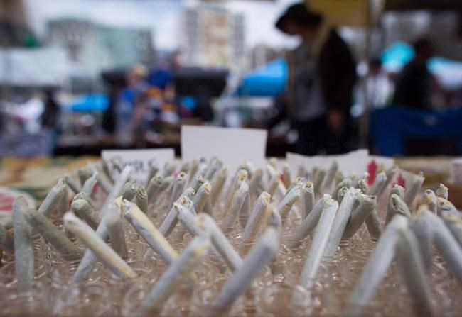 Companies fret about hazy rules around pot use | iNFOnews.ca