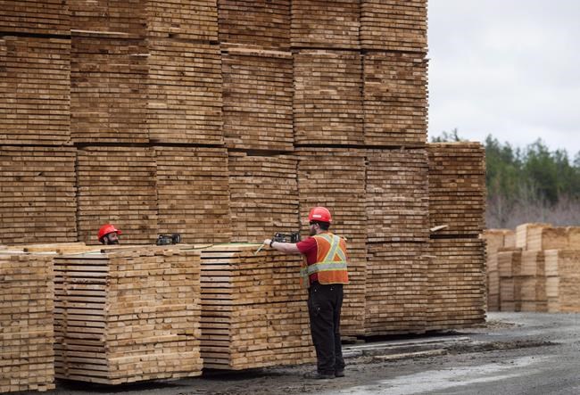 Softwood exports to U.S. down but it's not causing big financial pinch | iNFOnews.ca Softwood exports to U.S. down but it's not causing big financial pinch | iNFOnews.ca