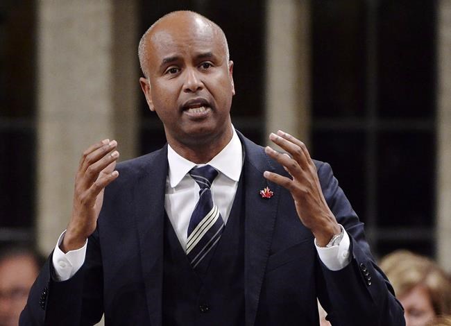 Federal use of A.I. in visa applications could breach human rights, report says | iNFOnews.ca