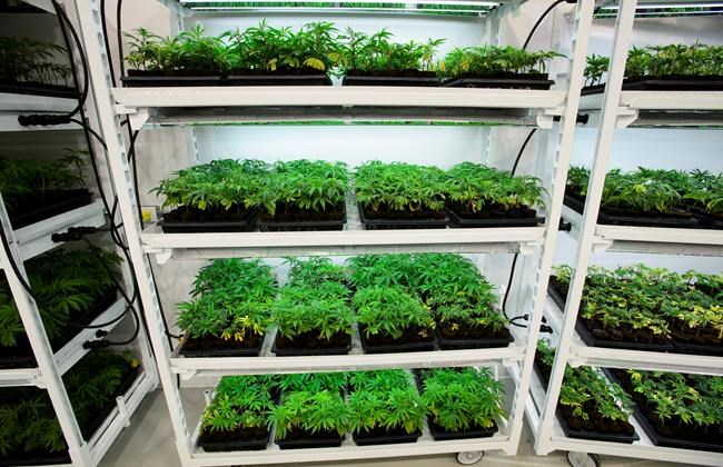 Statistics Canada looking down the drain to determine levels of pot consumption | iNFOnews.ca Statistics Canada looking down the drain to determine levels of pot consumption | iNFOnews.ca